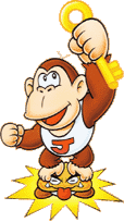 Donkey Kong Jr.