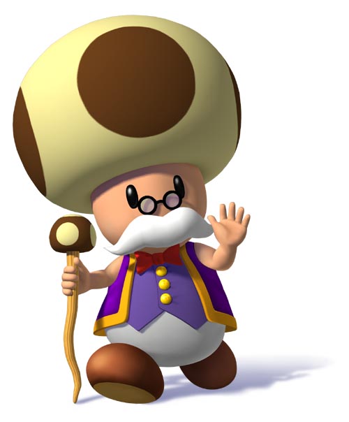 Meet the mushroom who helps his loyal Princess!